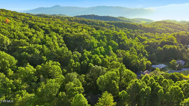 222 Mount Crest Drive, Johnson City, TN 37601