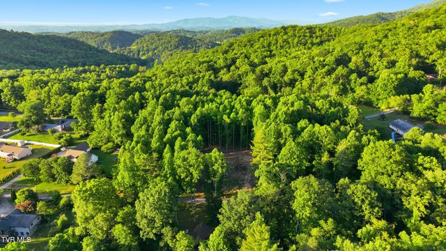222 Mount Crest Drive, Johnson City, TN 37601