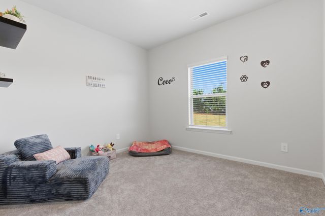 17884 Longleaf Drive, Athens, AL 35611