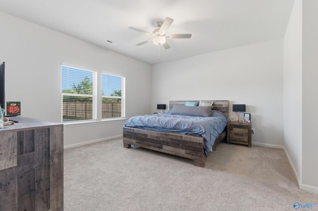 17884 Longleaf Drive, Athens, AL 35611