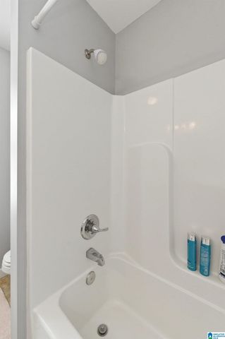 109 ROWNTREE PATH, Helena, AL 35080