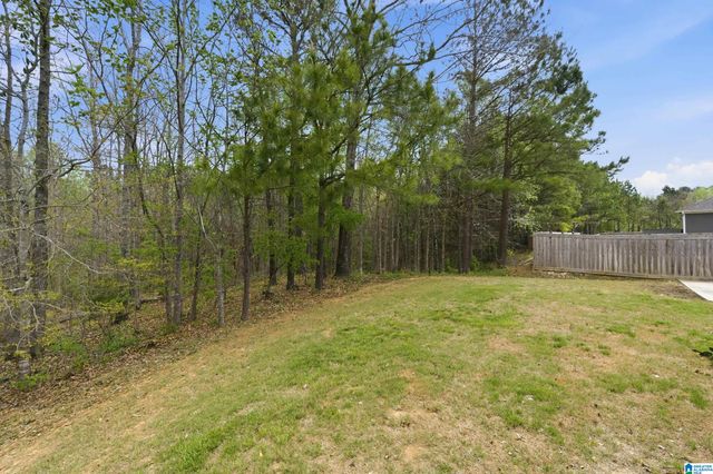 109 ROWNTREE PATH, Helena, AL 35080