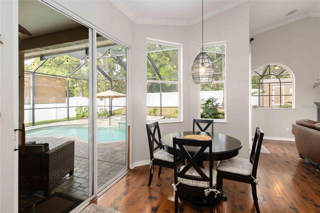 2007 RAVEN MANOR DRIVE, Dover, FL 33527