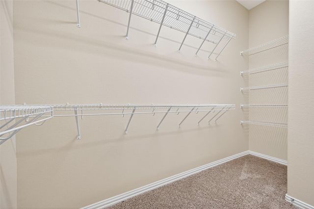 40519 Goldeneye Place, Magnolia, TX 77354
