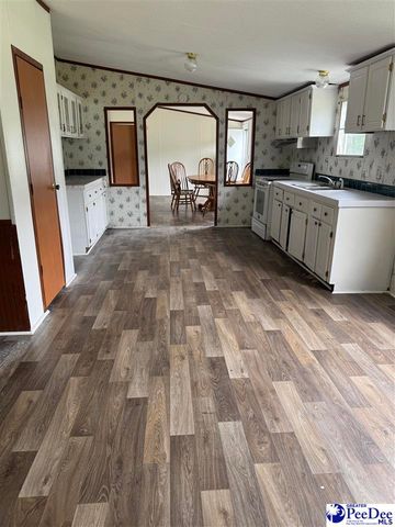 404 Jamestown Ave, Darlington, SC 29532