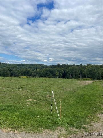 11339 Merwin Road, Hume, NY 14735