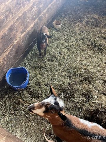 11339 Merwin Road, Hume, NY 14735