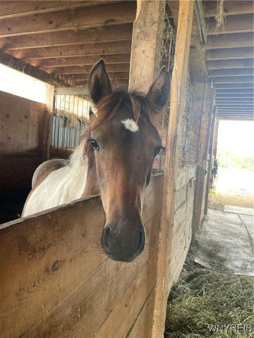 11339 Merwin Road, Hume, NY 14735