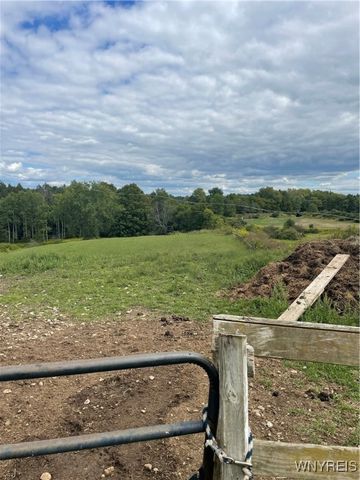 11339 Merwin Road, Hume, NY 14735