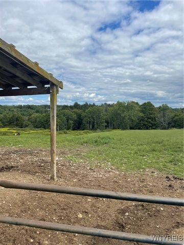 11339 Merwin Road, Hume, NY 14735