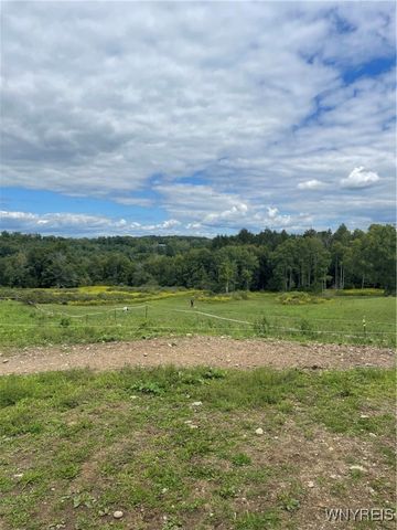 11339 Merwin Road, Hume, NY 14735