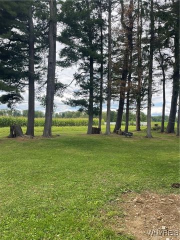 11339 Merwin Road, Hume, NY 14735