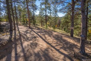 980 Spring Creek Drive, Divide, CO 80814