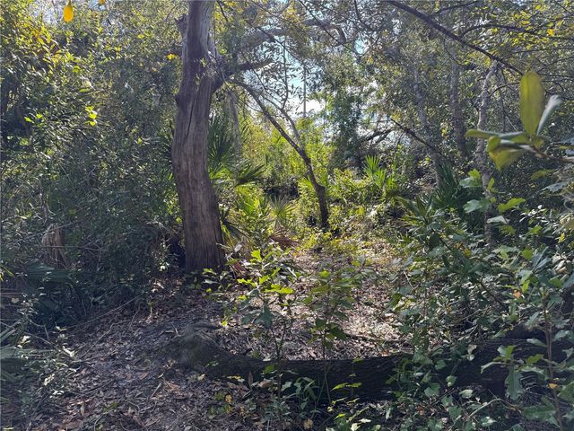 UPPER MANATEE RIVER ROAD, Bradenton, FL 34212