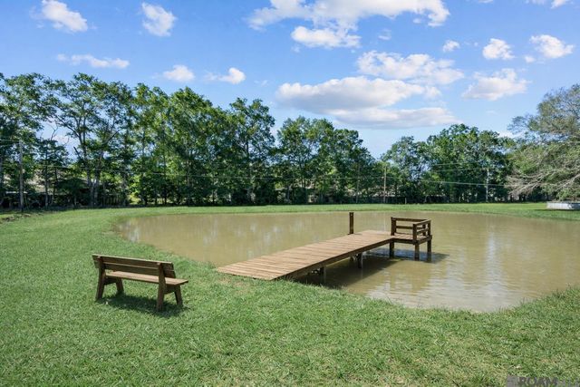 31872 Netterville Rd, Denham Springs, LA 70726