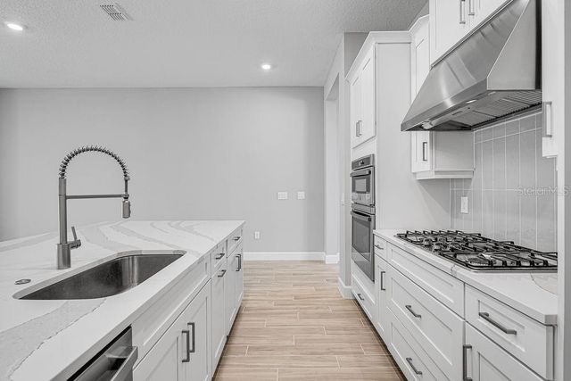 919 TASSLEFLOWER TRAIL, St Cloud, FL 34771