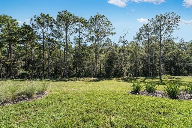 919 TASSLEFLOWER TRAIL, St Cloud, FL 34771