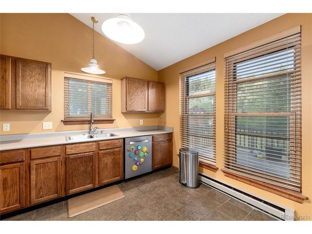 65 Silver Springs Rd, Bailey, CO 80421