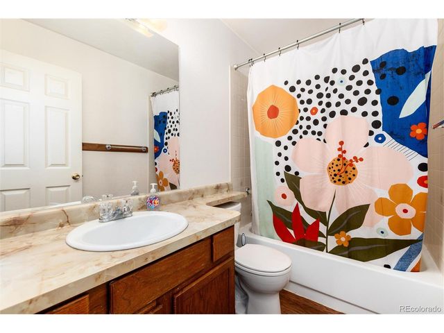 65 Silver Springs Rd, Bailey, CO 80421