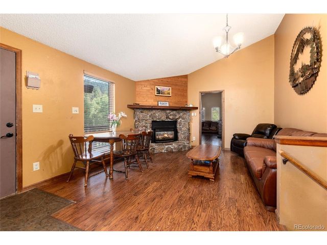 65 Silver Springs Rd, Bailey, CO 80421