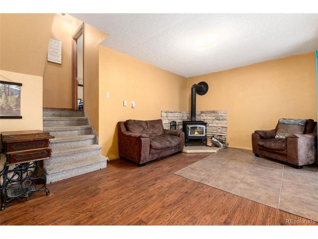 65 Silver Springs Rd, Bailey, CO 80421