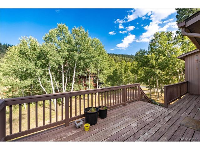 65 Silver Springs Rd, Bailey, CO 80421