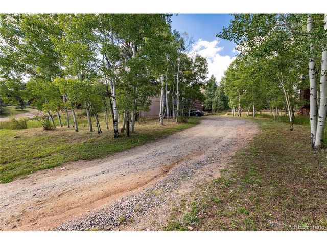 65 Silver Springs Rd, Bailey, CO 80421