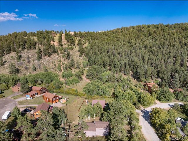 65 Silver Springs Rd, Bailey, CO 80421