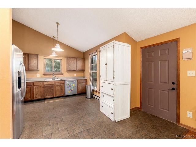 65 Silver Springs Rd, Bailey, CO 80421