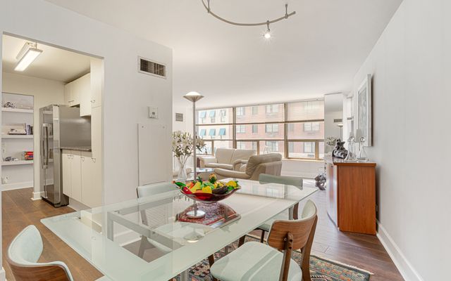 110 E Delaware Place 401, Chicago, IL 60611