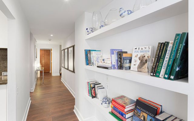 110 E Delaware Place 401, Chicago, IL 60611