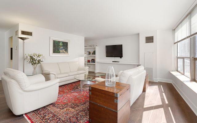 110 E Delaware Place 401, Chicago, IL 60611