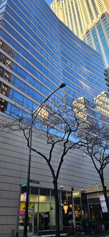 110 E Delaware Place 401, Chicago, IL 60611