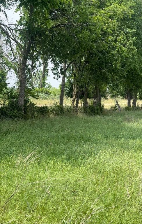 TBD County Road 242, Priddy, TX 76870