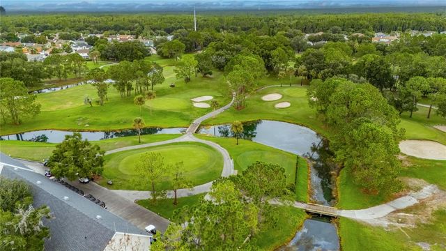 12010 STEPPINGSTONE BOULEVARD, Tampa, FL 33635