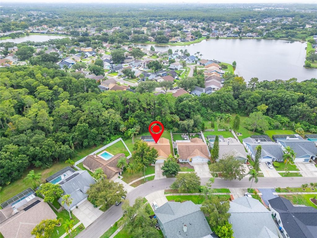 Image 47 of property listing at 12010 STEPPINGSTONE BOULEVARD, Tampa, FL 33635