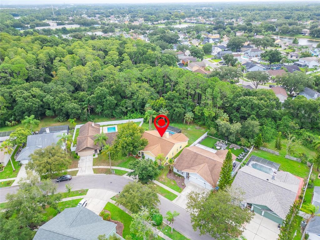 Image 48 of property listing at 12010 STEPPINGSTONE BOULEVARD, Tampa, FL 33635