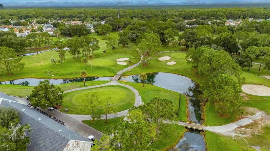 Image 50 of property listing at 12010 STEPPINGSTONE BOULEVARD, Tampa, FL 33635