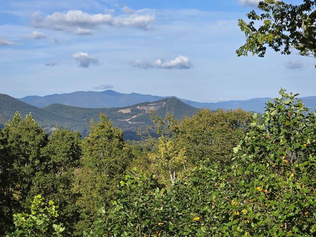 368 Ivy Log Heights Road, Young Harris, GA 30582