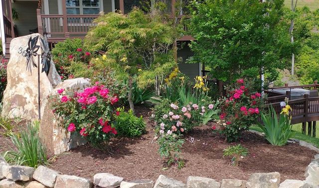 368 Ivy Log Heights Road, Young Harris, GA 30582