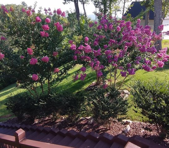 368 Ivy Log Heights Road, Young Harris, GA 30582