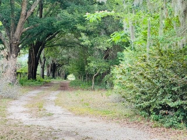 12470 SW 16TH AVENUE, Ocala, FL 34473