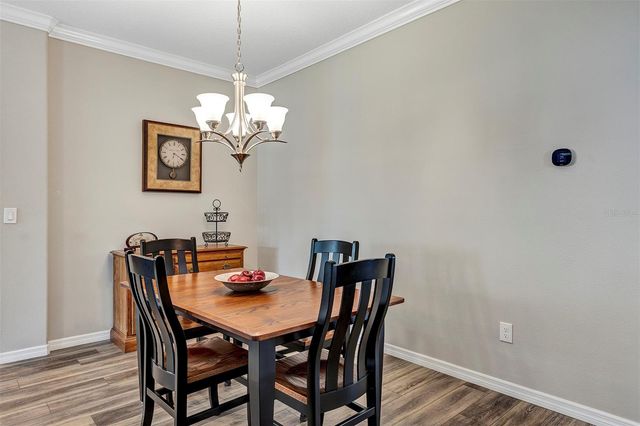 4541 SHENANDOAH RIVER TRAIL, Leesburg, FL 34748