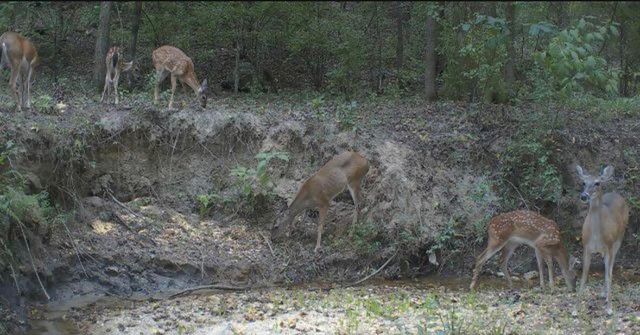 4676 Oakley Pirkle Road, Martinez, GA 30907