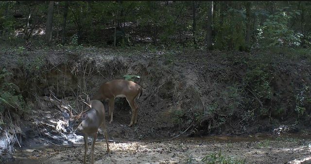 4676 Oakley Pirkle Road, Martinez, GA 30907