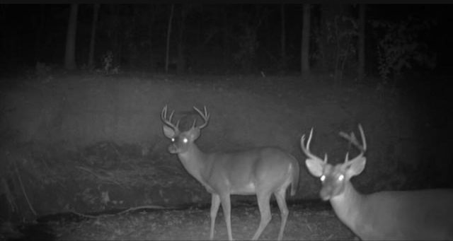 4676 Oakley Pirkle Road, Martinez, GA 30907