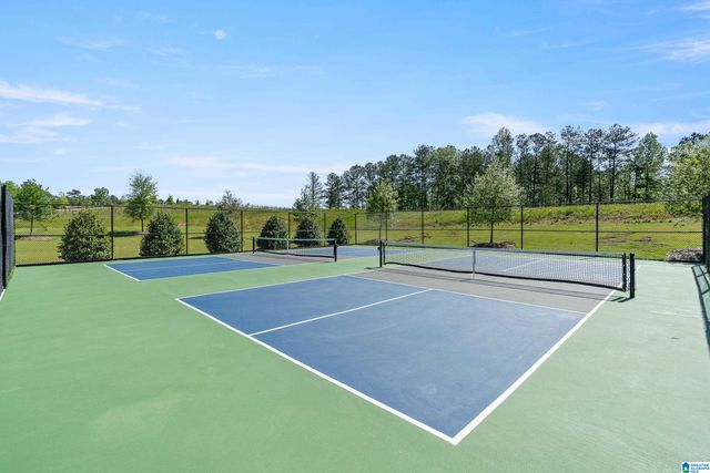 2920 BLACKRIDGE PLACE, Hoover, AL 35244