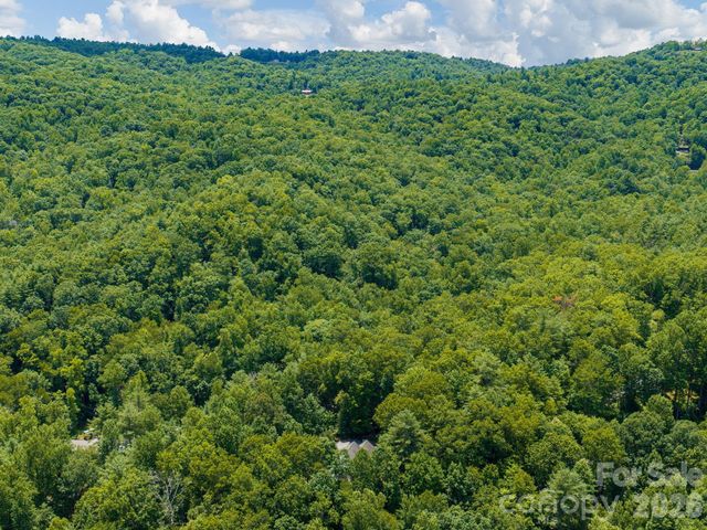 49 Indian Ridge Trail, Hendersonville, NC 28739