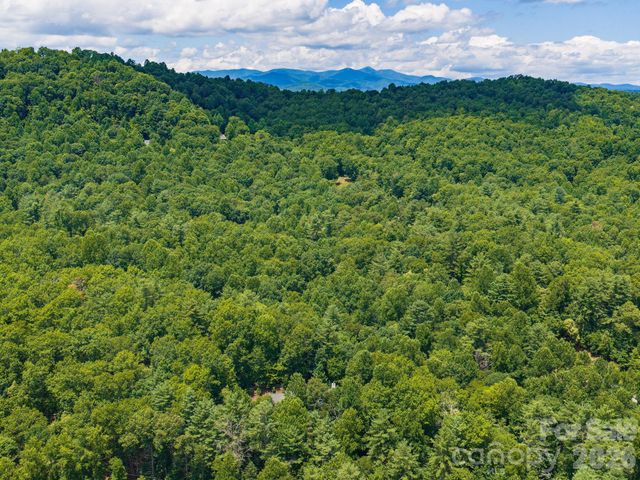 49 Indian Ridge Trail, Hendersonville, NC 28739