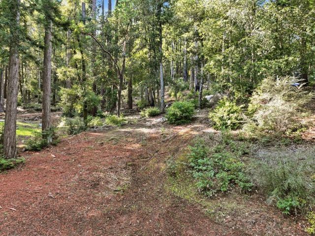 675 Western Avenue, Brookdale, CA 95007